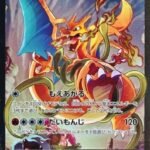 Charizard EX (276/XY-P) (JP Pokemon Card Game Art Collection) [XY: Black Star Promos]