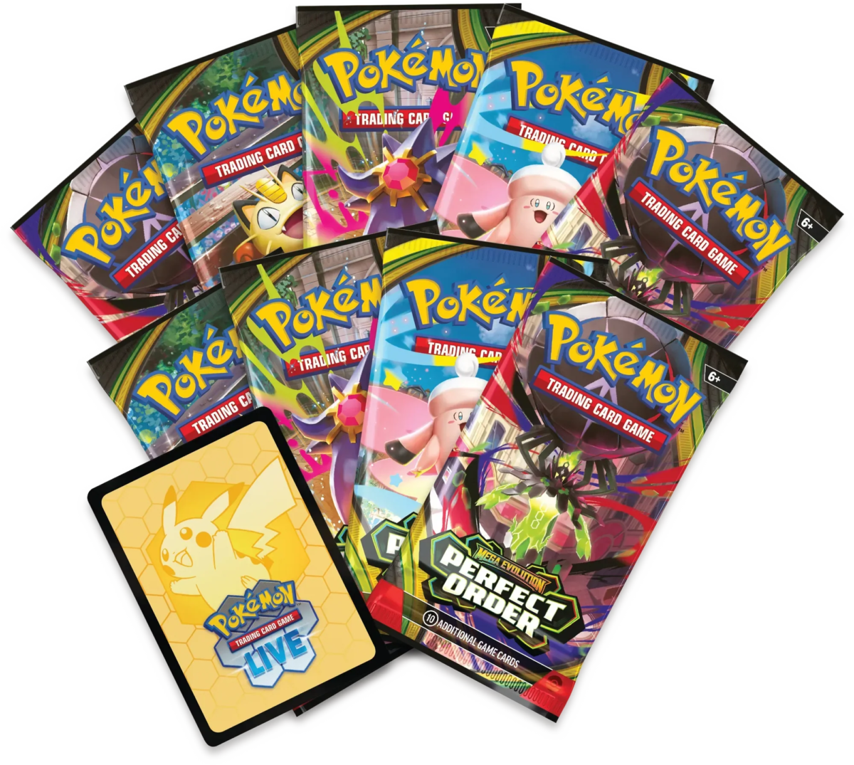 Perfect Order Elite Trainer Box - Image 2