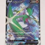 Pokémon Card Elraid VB CSR
