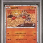 [PSA10] Hitmonchan 012/032