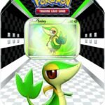 Pokemon 2011 Spring Snivy Tin