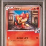 [PSA10] Pansear 166/XY-P