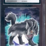 CGC 9 MIGHTYENA ZUKAN JPN