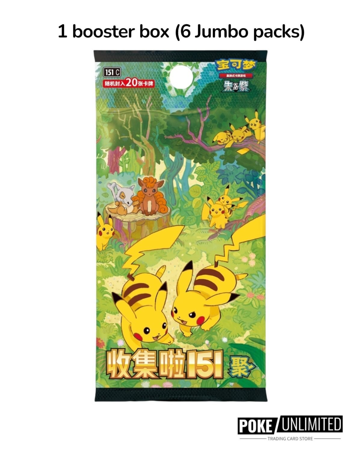 Pokémon TCG: Collect 151 The First Partner Premium Gift Box "Charmander" (S-Chinese) - Image 2